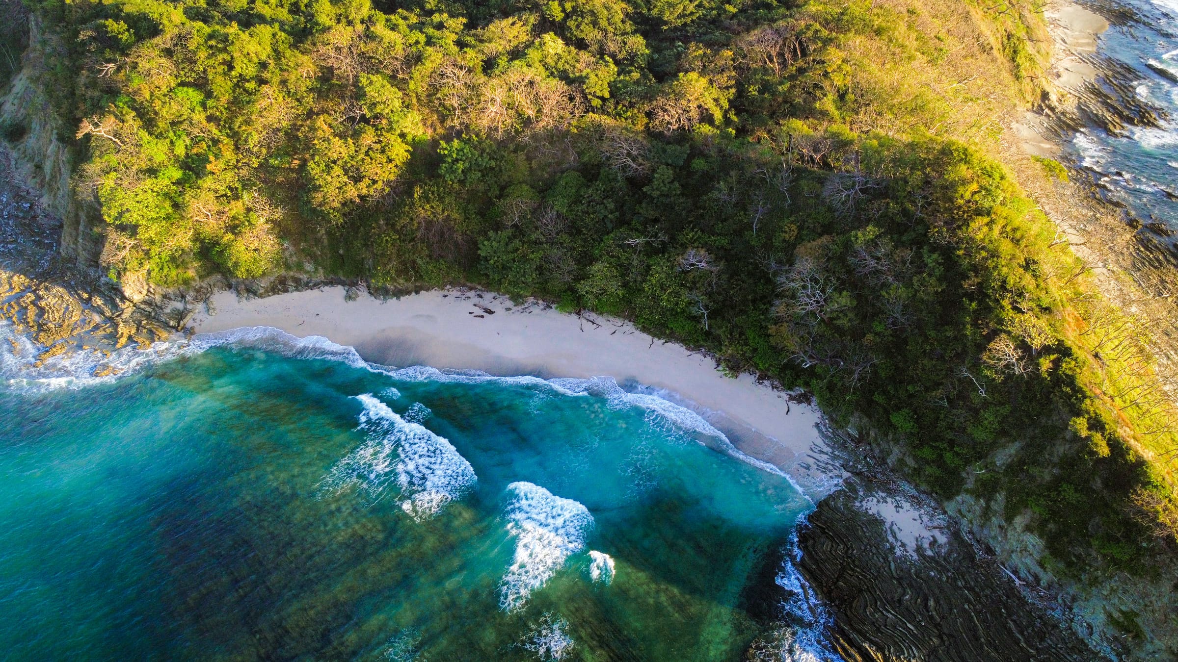 Getting to Nosara — Flights, Shuttles, and the Road In
